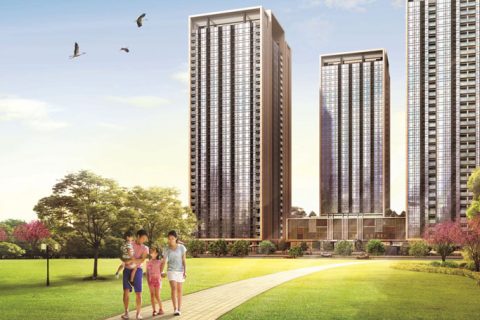 Property Management